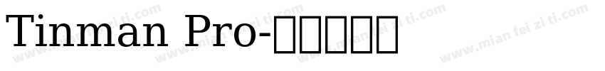 Tinman Pro字体转换